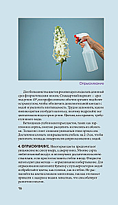 Flowers for a Bouquet. A Guide to Cut Flowers for the Beginning Florist. What and When to Buy and How to Extend the Life of Flowers